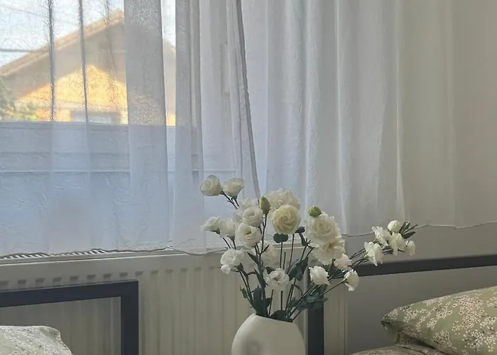 Apartamento Bellas Novi Sad